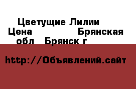 Цветущие Лилии . › Цена ­ 100-150 - Брянская обл., Брянск г.  »    